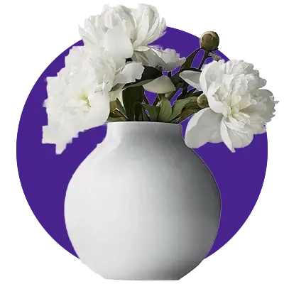 collection-img